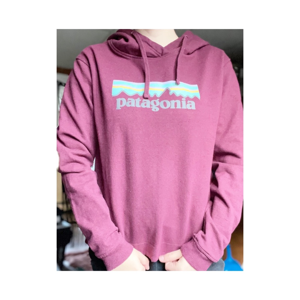 Patagonia hoodie